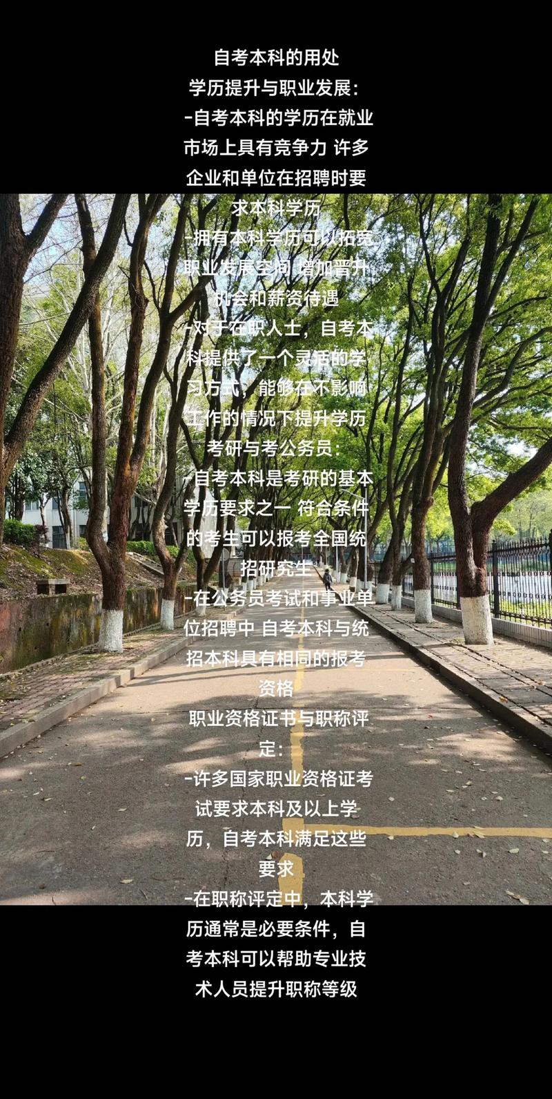 实现梦想——长沙学历提升的案例分析